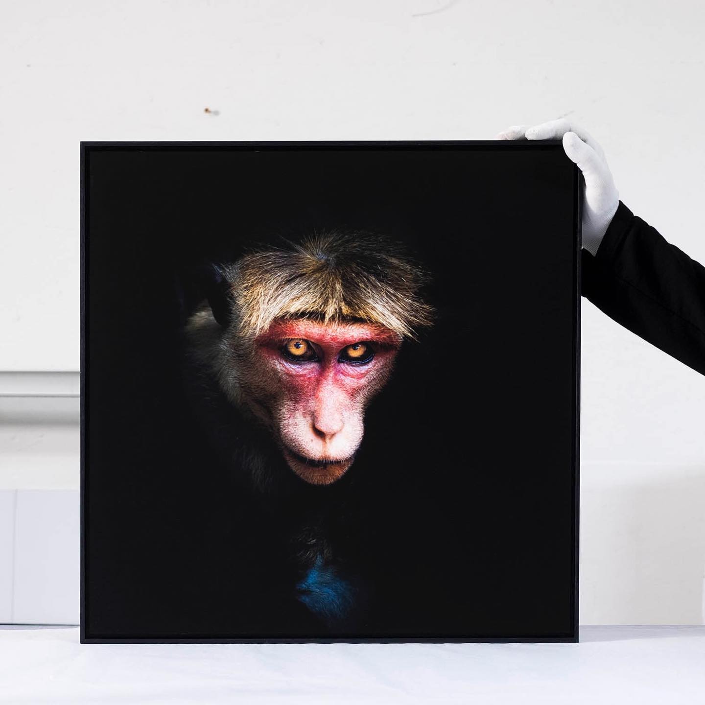 242113204 3036942036634340 6529147681392309431 n